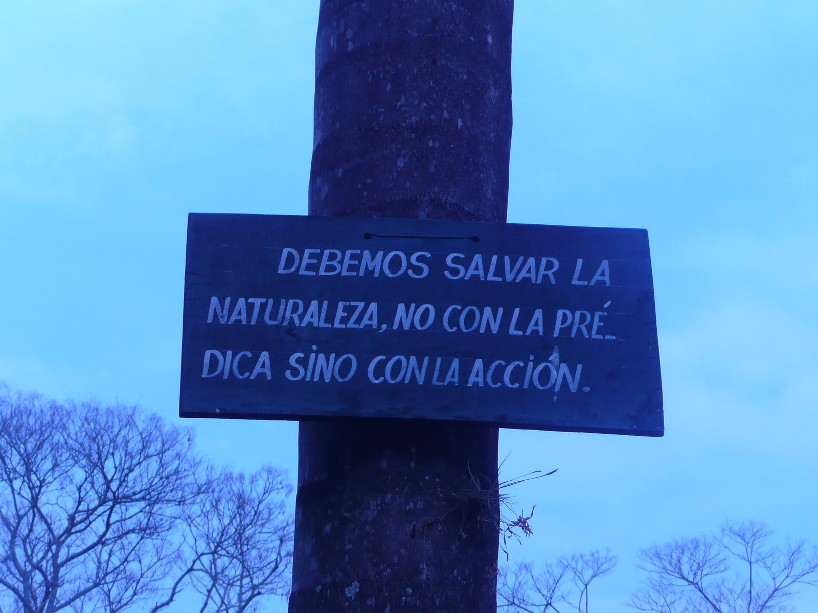 [P1020506.JPG]