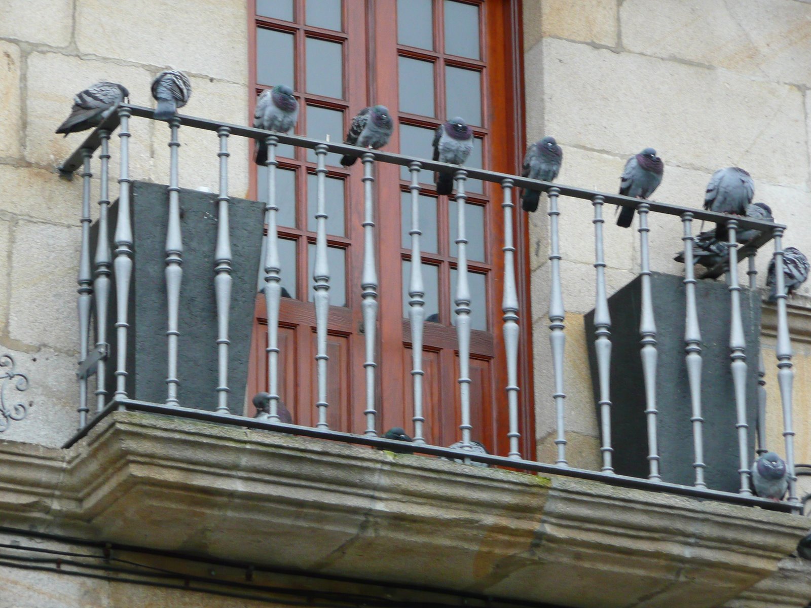 [P1040130.JPG]
