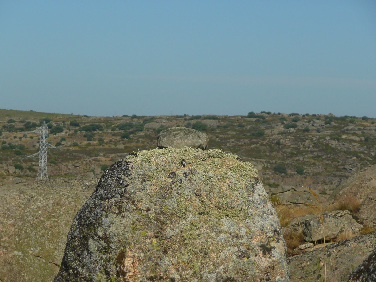[P1070680.JPG]