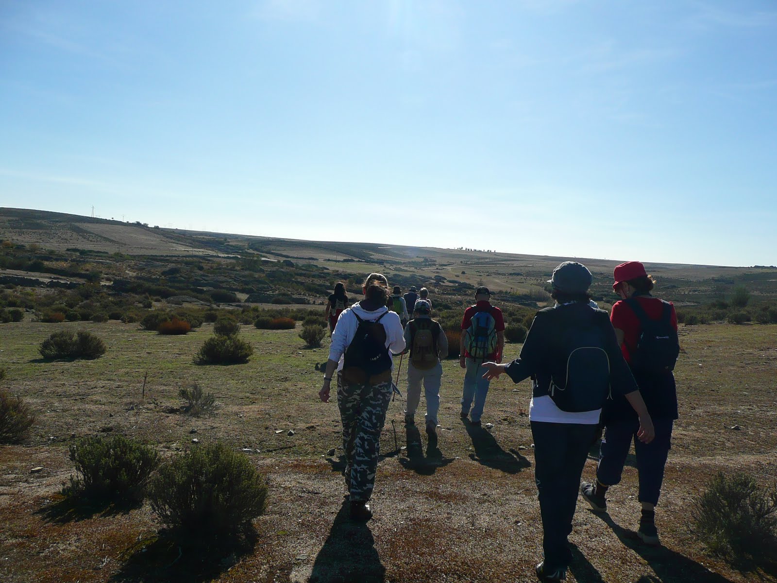 [P1080538.JPG]