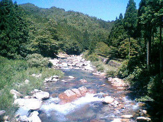 [070811_1241~01001-721811.JPG]