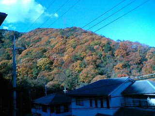 [photo01.JPG]