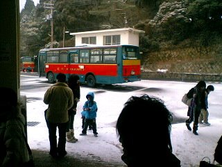 [bus01.JPG]