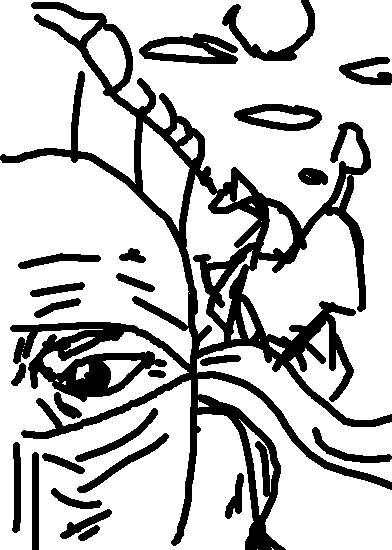 [an1.bmp]