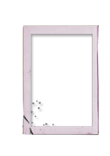 TUDO PARA PHOTOSCAPE.: Molduras Modernas