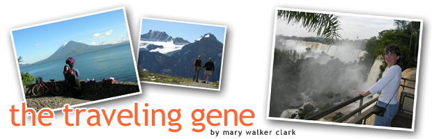 The Traveling Gene
