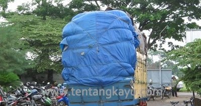 Hanya 12.72% yang Menjadi Perabot kayu ~ Tentang Kayu