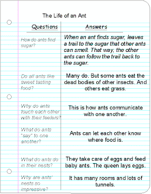 Essays on sq3r picture