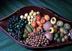 [am-frutos.jpg]