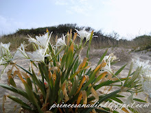 flores en la playa