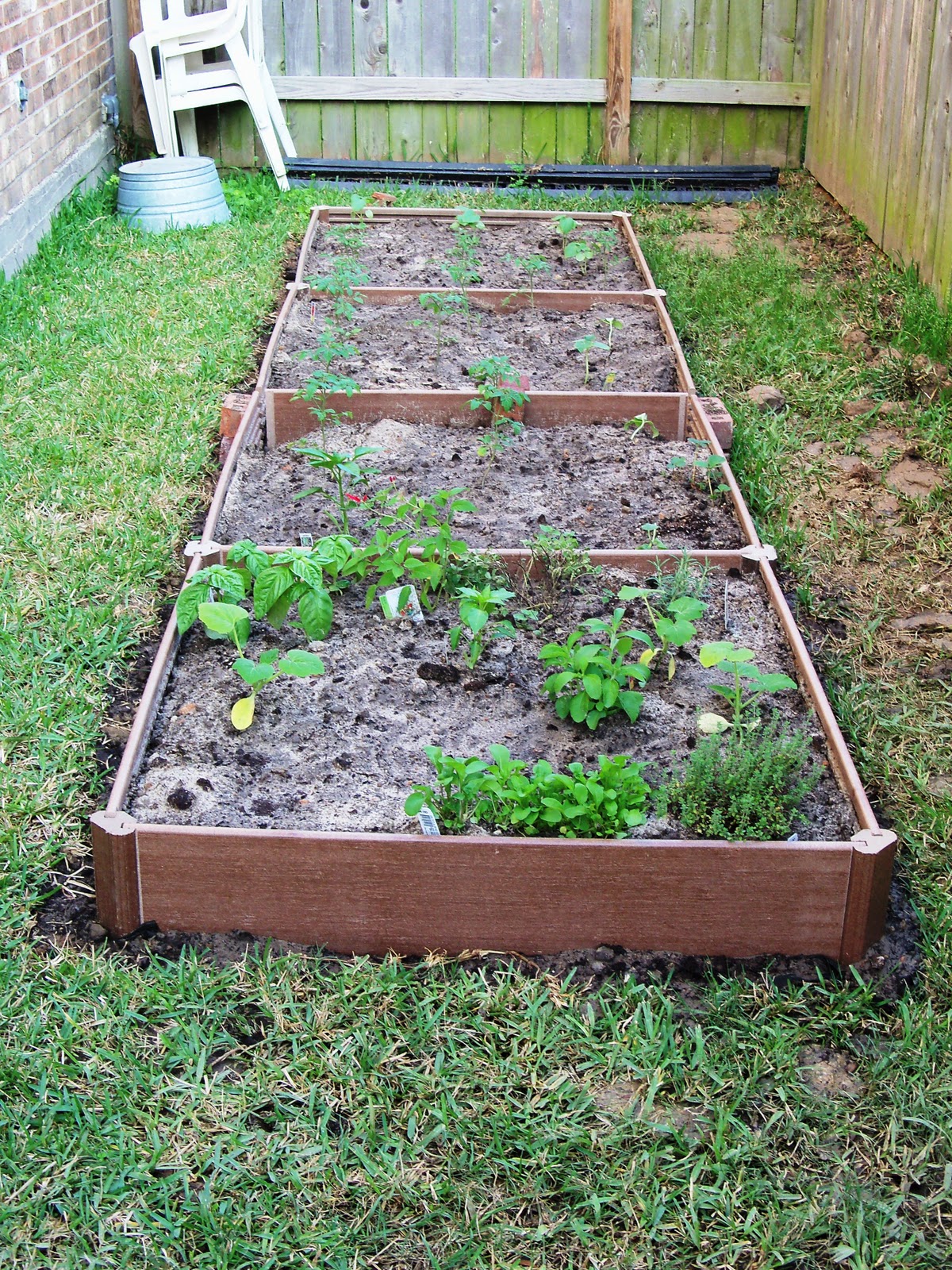 Vegetable Garden: Day Two | Nicki Woo