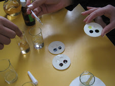 2009წ. 25 ოქტომბერი