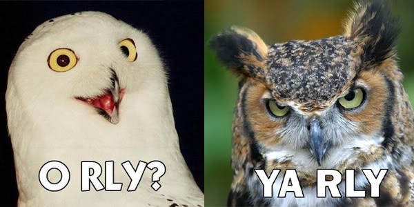 Yarly Owl