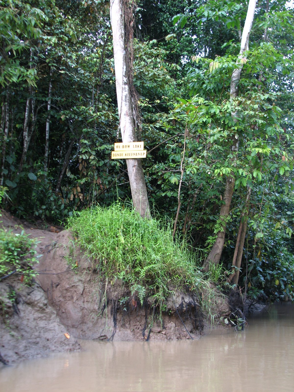 [Malesia+06.2009+472.JPG]