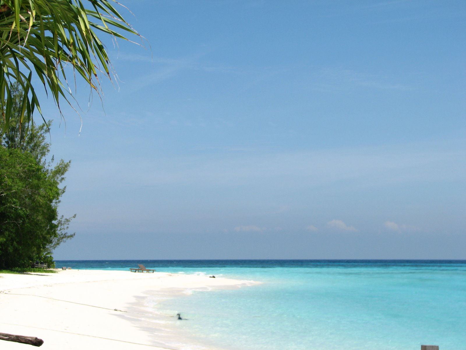 [Malesia+06.2009+526.JPG]