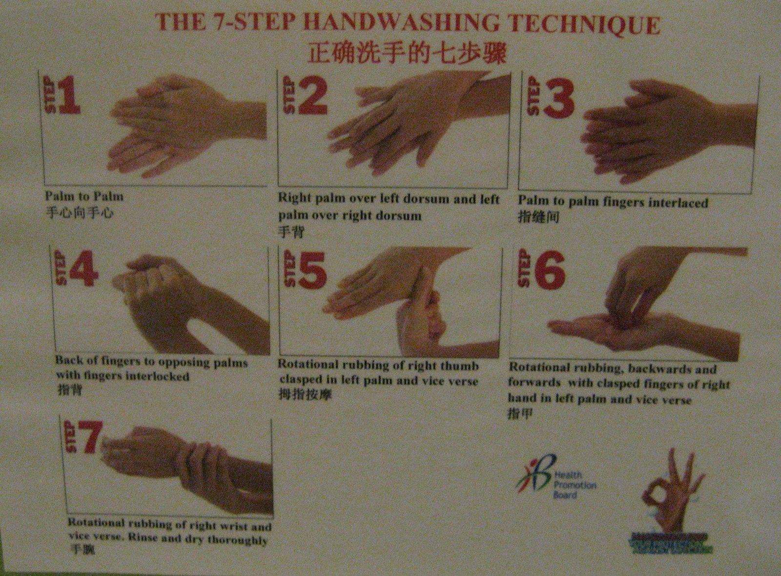 [Malesia+06.2009+353.JPG]