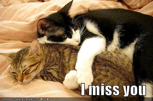 Loves Me Not: Hi,Haw are you? Loves Me Not: Hi,Haw are you?