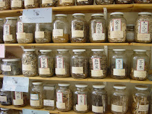 Chinese Herb Shop