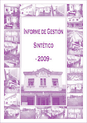 Informe de Gestión Sintético 2010