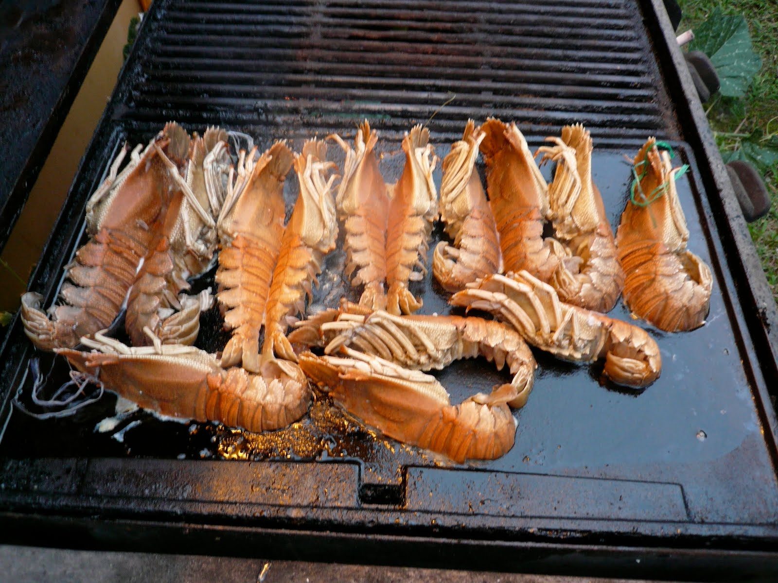 saigon today: Slipper lobsters