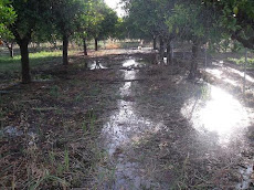 ¿INUNDACION POR LLUVIA TORRENCIAL?