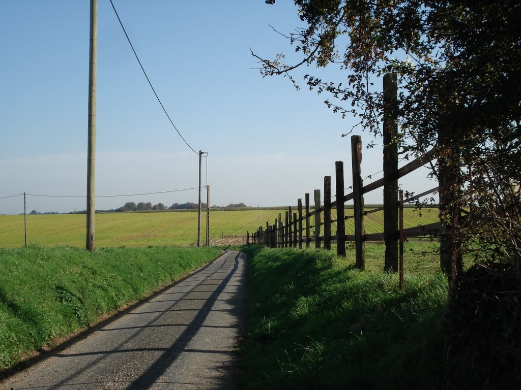 [DSC08180.JPG]