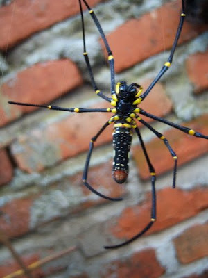 laba-labakus+kerenbangetis+3.jpg (300×400)