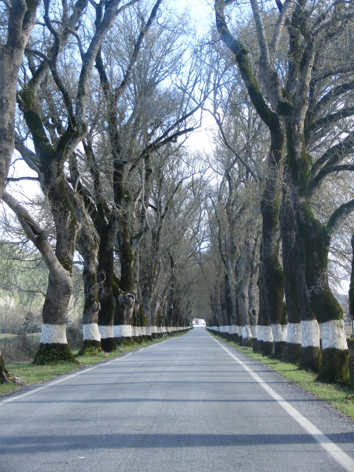 [DSCF9942.JPG]