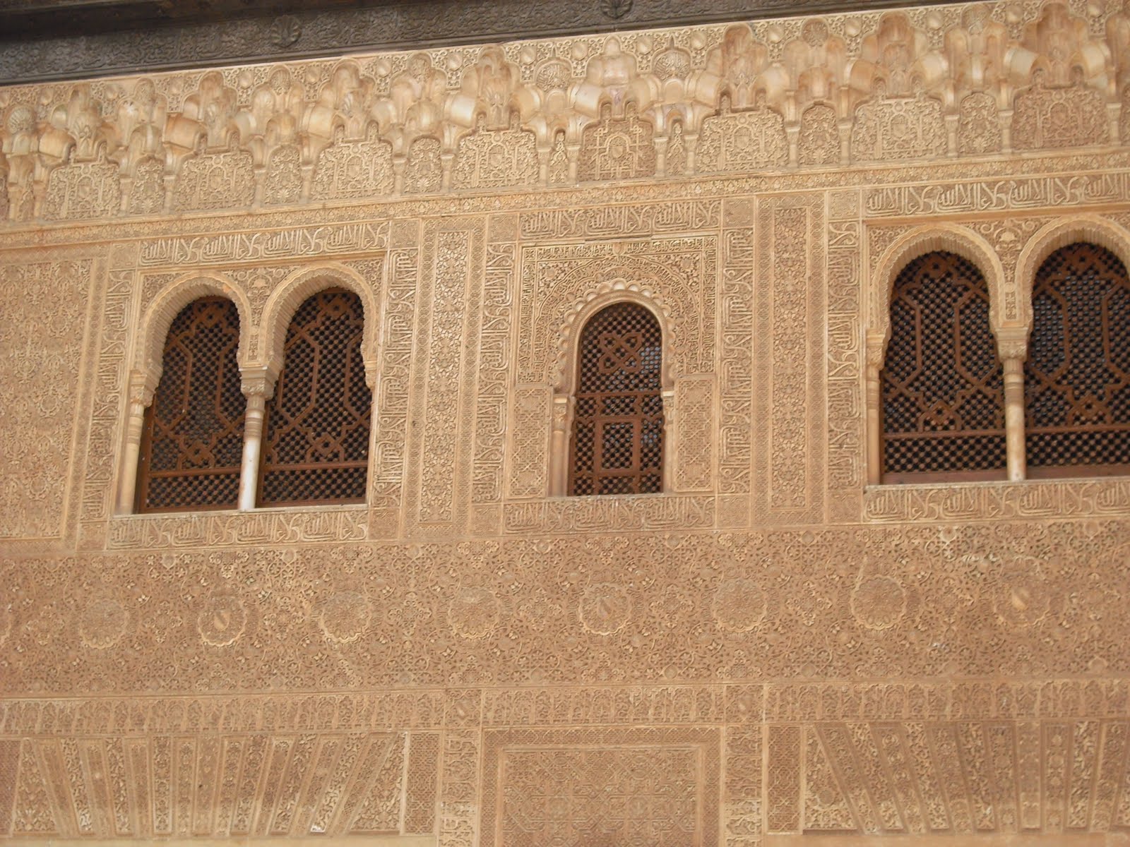 [CIMG0425.JPG]