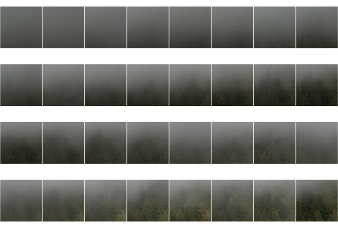 [fogcontact01.jpg]
