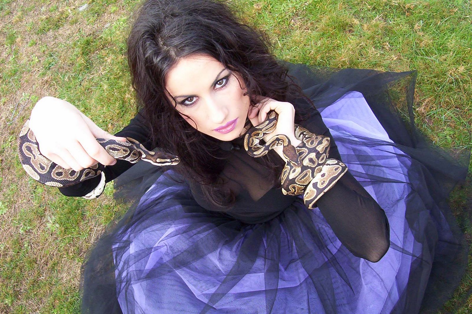 http://4.bp.blogspot.com/_T35qRa-r8Lc/R1KwJzrIpsI/AAAAAAAAACc/yjgbzSzcPv4/s1600-R/foto%2BMERCURIA.jpg