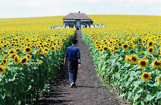 Everything Is Illuminated Criticism | RM. Everything Is Illuminated Criticism | RM.
