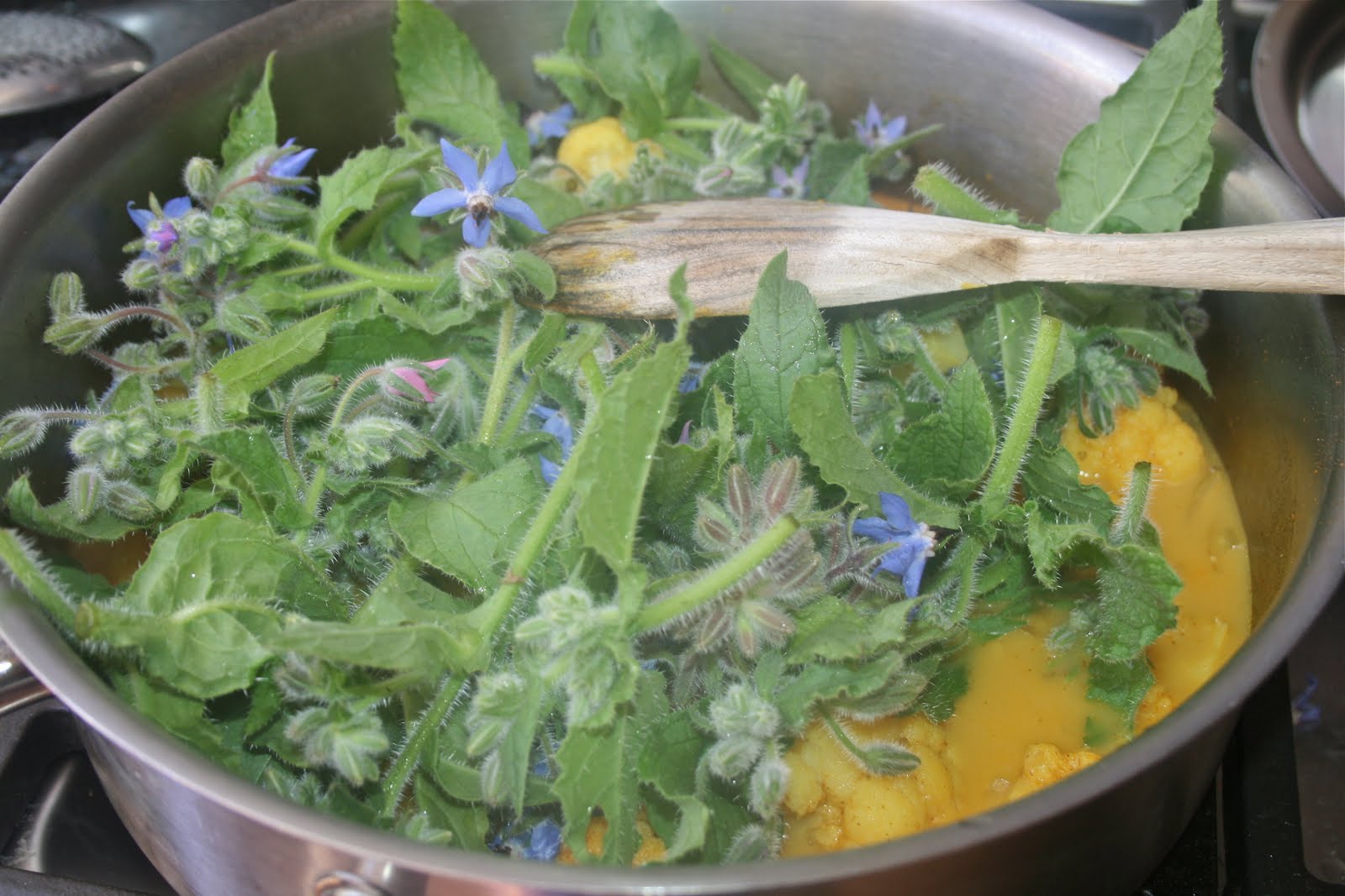 Vegan Recipes Cauliflower and Borage Curry