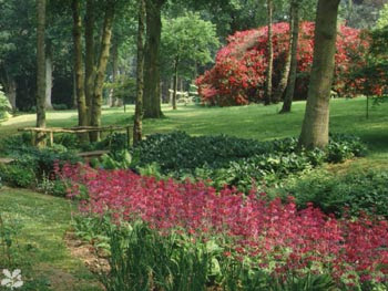 Todo Jardines: Sheffield Park en East Sussex en Inglaterra