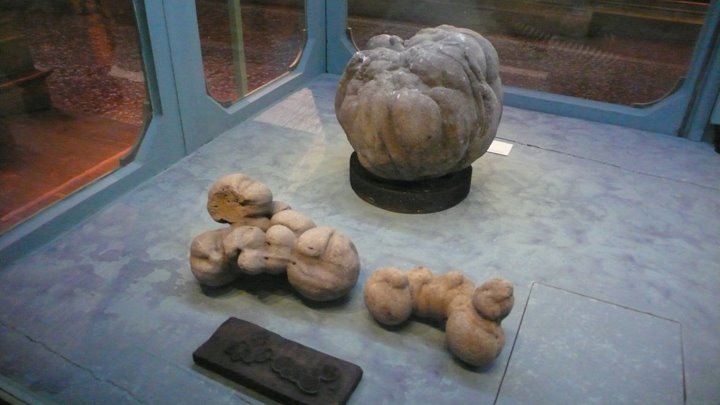 [Bol+museum+4.JPG]