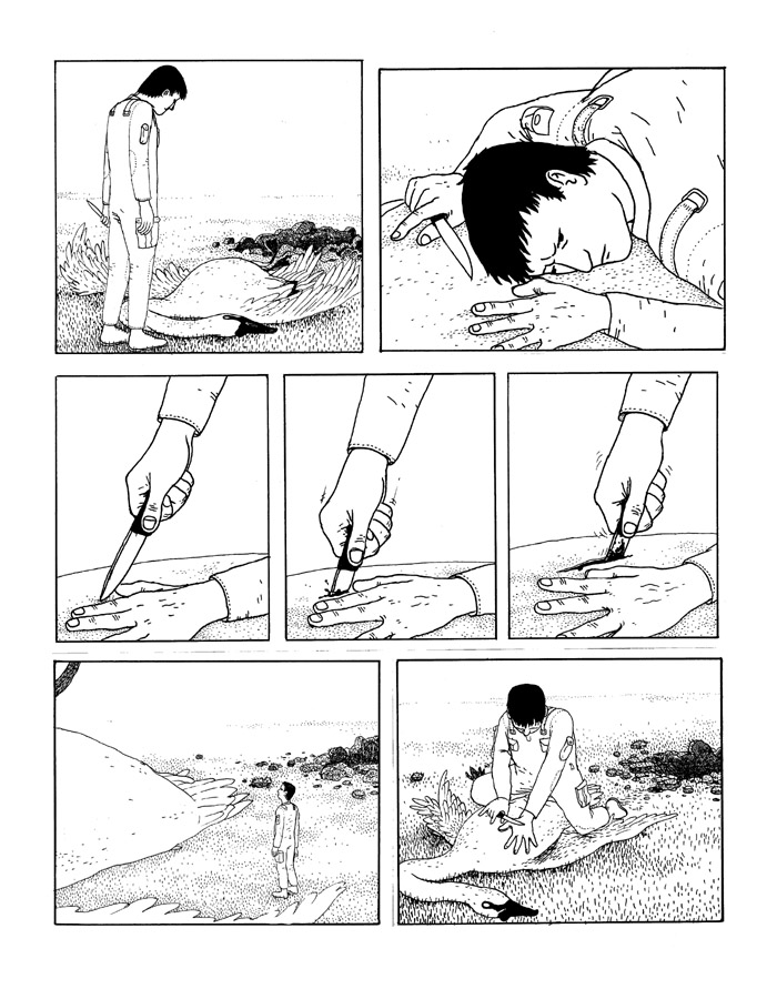 [sampleBQ11p6.jpg]