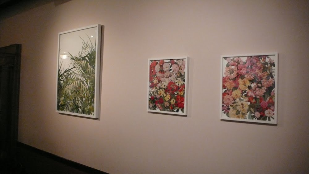 [P1030582.JPG]