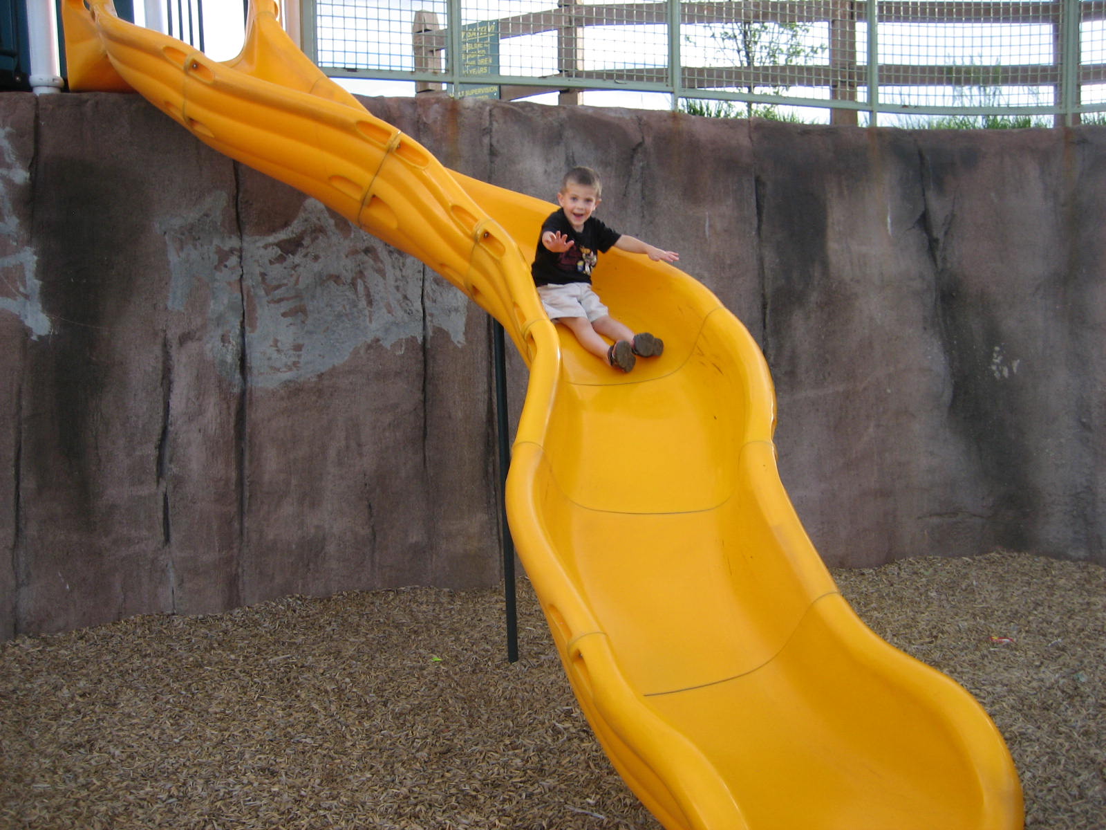 [IMG_4331.JPG]