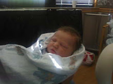 Newborn Boston