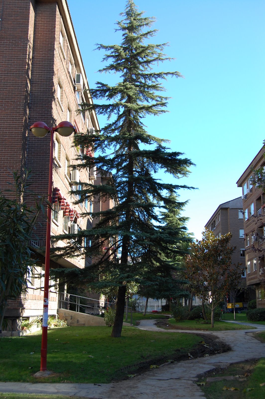 [DSC_0190.JPG]