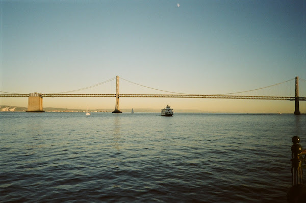 The Bridge Home