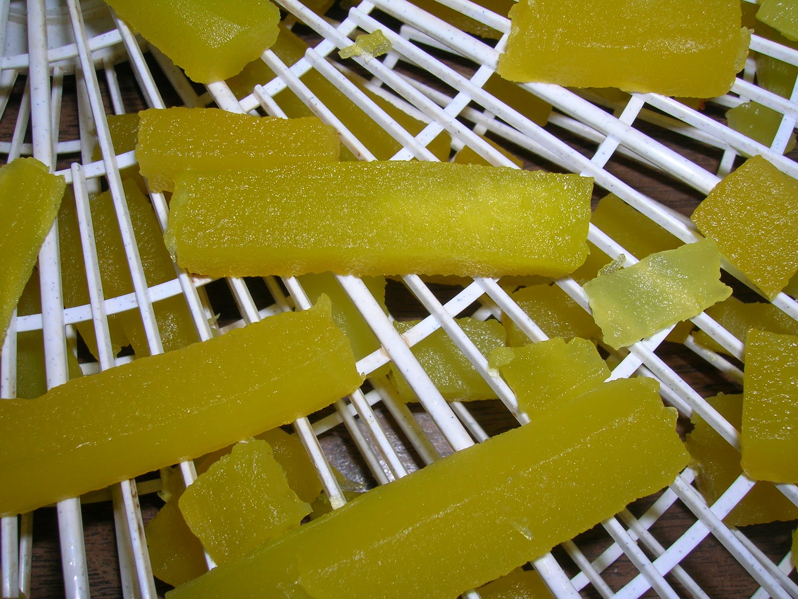 My Mountain Garden Gleanings Zucchini Candy