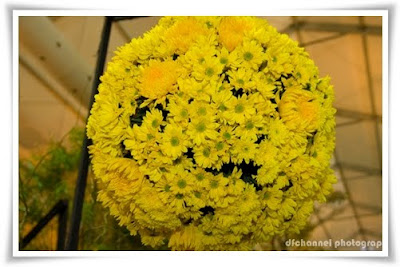 yellow flower