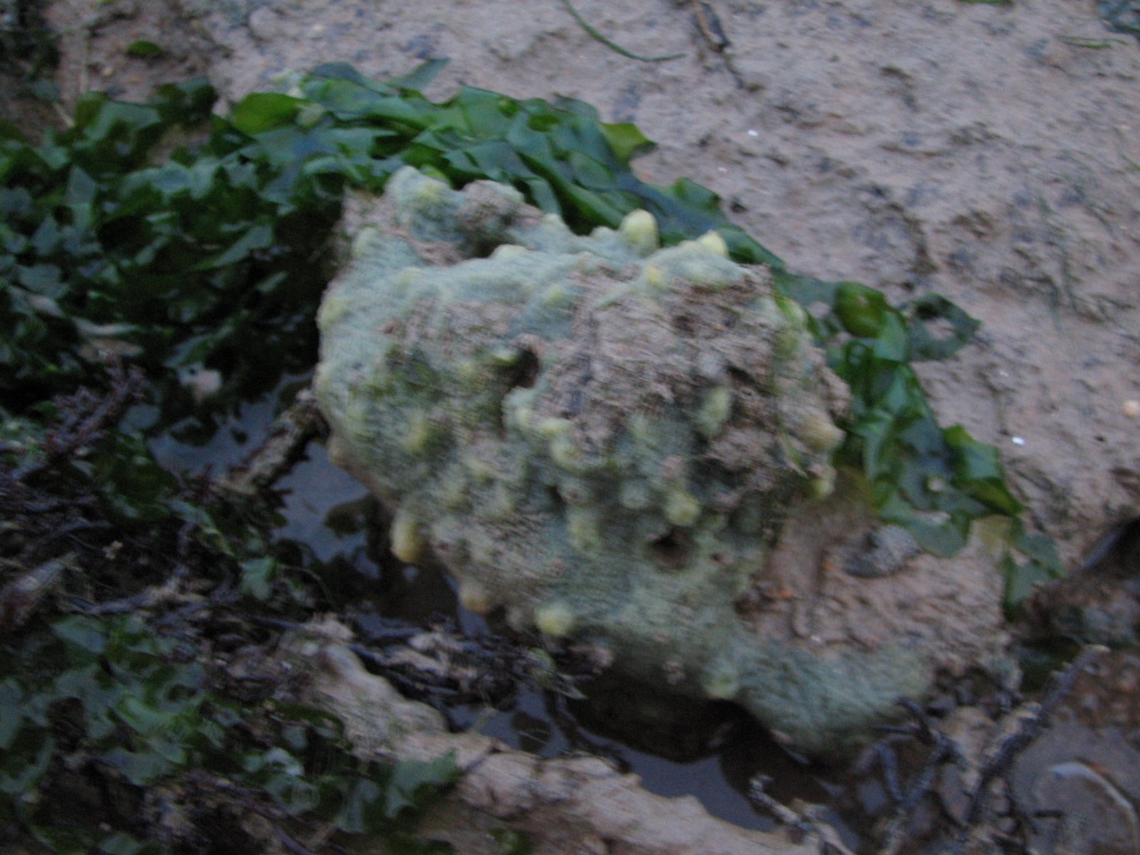[IMG_9515.JPG]
