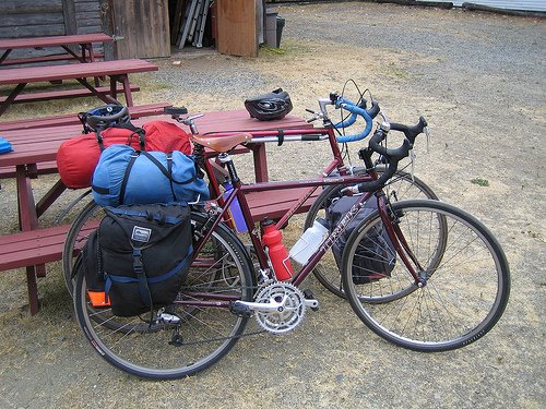 cannellini bikes