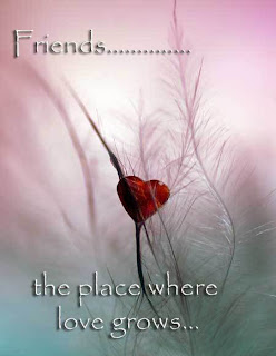 Friends_The_Place_Where_Love_Grows
