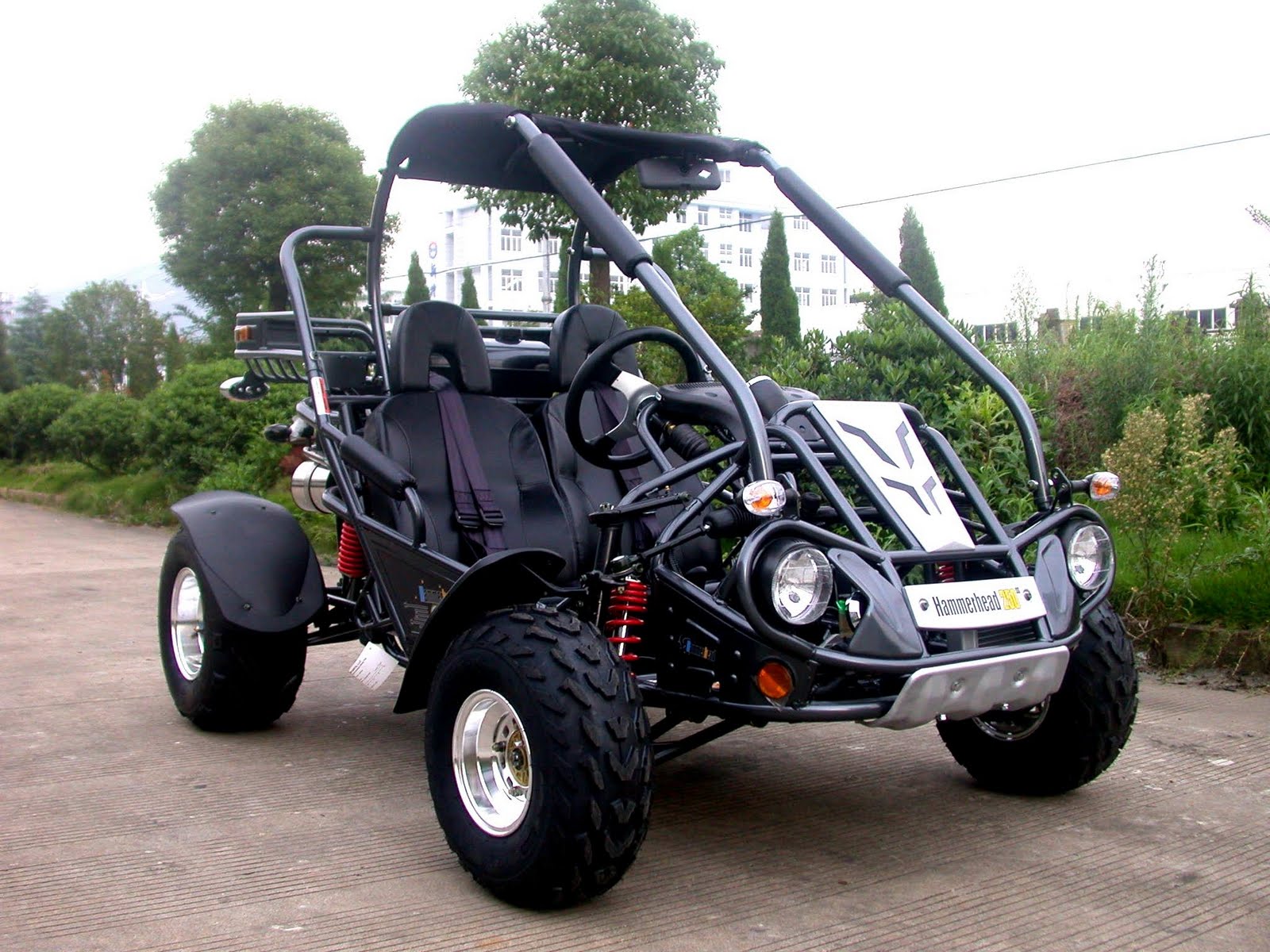 Dirt Buggy