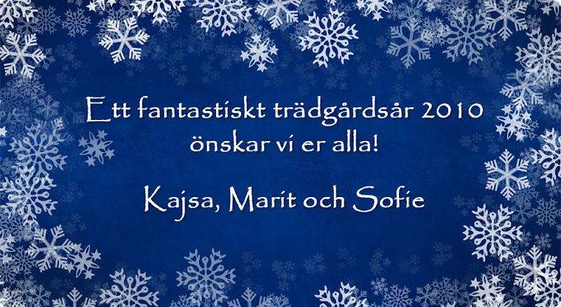 Trädgårdsblogg Thorins Trädgård