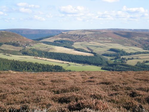 Nearly Stranded In The Moors