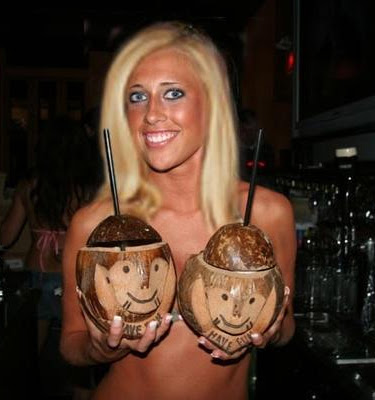 Pair Of Coconuts